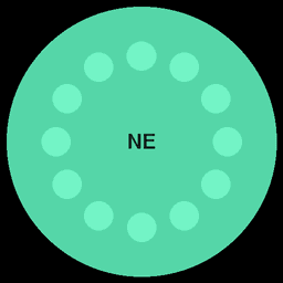 Neo